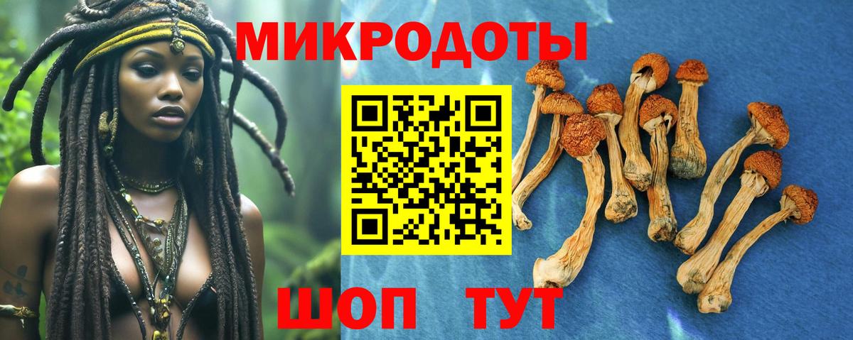 Галлюциногенные грибы мицелий  Псилоцибиновые грибы мухоморы  Искитим  Вход с VPN 